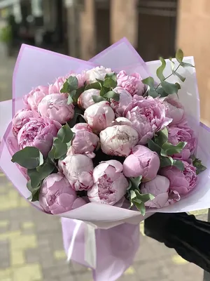 Фиолетовые пионы | Бесплатная доставка букетов цветов по Москве