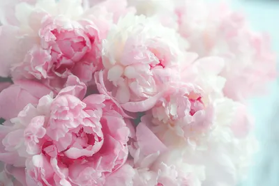 Купить Букет с пионами и кустовой розой Expression в Краснодаре