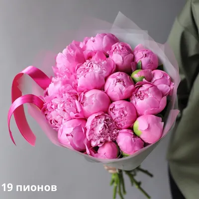Пионы поштучно в Москве! Купить цветы.