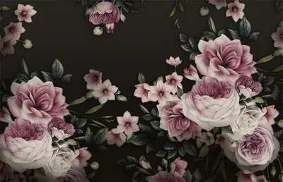 Картинки Пионы Цветы на черном фоне Крупным планом 1843x1440