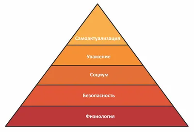 Финансовая пирамида: что это и как ее распознать?