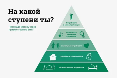 Пирамида Маслоу через призму студента БНТУ – Белорусский национальный  технический университет (БНТУ/BNTU)