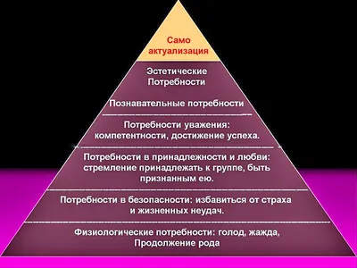 Потребности человека по пирамиде Маслоу: как использовать иерархию в жизни,  маркетинге и менеджменте - Блог об email и интернет-маркетинге