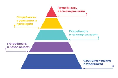 Абрахам Маслоу пирамида потребностей – Дмитрий Шейнин