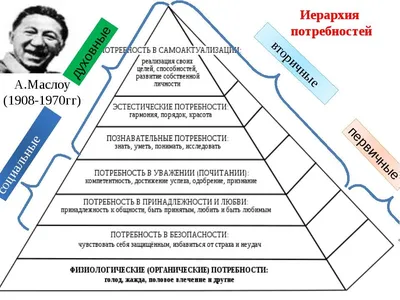 Пирамида маслоу рисунок - 82 фото