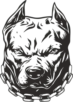 Черно-белым порода бульдога смешанная питбулем Стоковое Изображение -  изображение насчитывающей лаборатория, пятнистый: 96828397