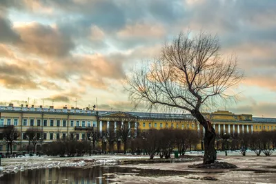 Вечерний Питер (KonstRuctor) // Фотогалерея сайта Fotoexperts