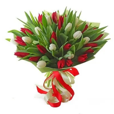 Букет из красных и белых тюльпанов \"Пламенный привет\" - Cvety24.by