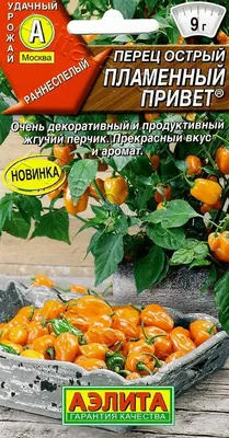 Перец острый Пламенный привет 20шт, семена | Купить в интернет магазине  Аэлита