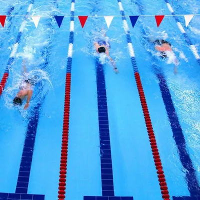 Спортивное плавание: виды и стили | Интернет-магазин товаров для плавания  FastSwimming