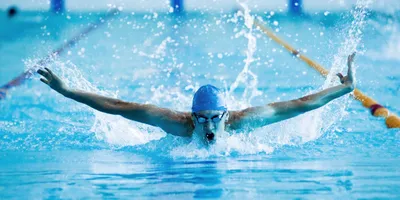 Групповые занятия плаванием для детей – Школа плавания Splash