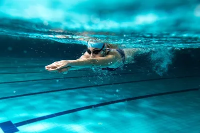 Чем полезно плавание, как плавание влияет на здоровье, мнение учёных -  Чемпионат