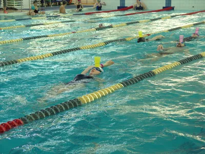 5️⃣ Плавание для взрослых в Киеве: обучение плаванию — «5 Элемент»