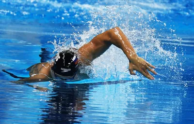 Лучшие фото (10 000+) по запросу «Плавание» · Скачивайте совершенно  бесплатно · Стоковые фото Pexels