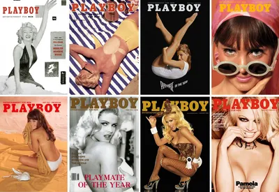 Playboy model Hayley Hasselhoff says she wasn't 'glamorizing obesity' with  history-making curvy cover | Fox News