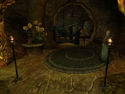 Любые вопросы по игре 36 - Форум The Elder Scrolls 3: Morrowind