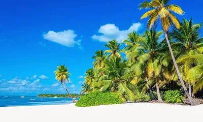 10 лучших пляжей Доминиканы 2024 ☀️ Фото, описание, туры