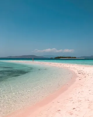 Самые впечатляющие пляжи мира с розовым песком | myDecor