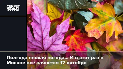 Плохая погода в рисунке города Дождь масляная живопись в Париже Стоковое  Изображение - изображение насчитывающей арройо, красно: 198624635