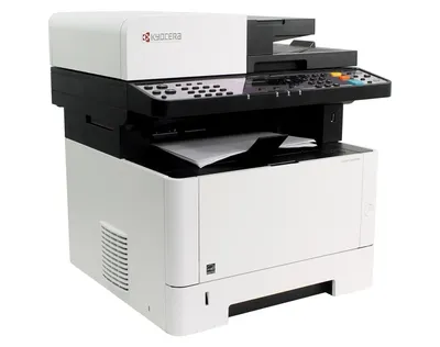 Принтер не печатает, что можно сделать | ServLesson | Дзен