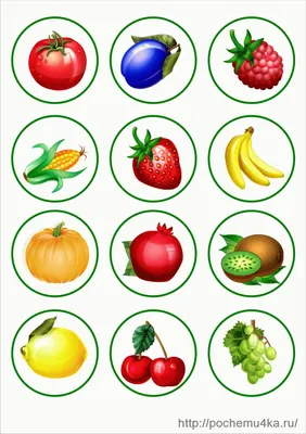 Картинки на шкафчики в детском саду \"Овощи, фрукты, ягоды\" | Овощи для  детей, Фрукты, Овощи