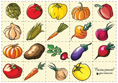 Поделки из натуральных овощей и фруктов: идеи по изготовлению своими руками  (44 фото) »