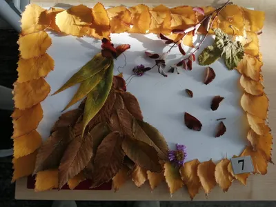 ПОТРЯСАЮЩАЯ Поделка из Природного Материала Осенние Поделки Своими руками |  Поделки на тему Осень - YouTube