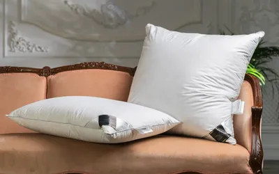Подушка Сонум декоративная с кантом – купить в Санкт-Петербурге, цены в  интернет-магазине «МногоСна»