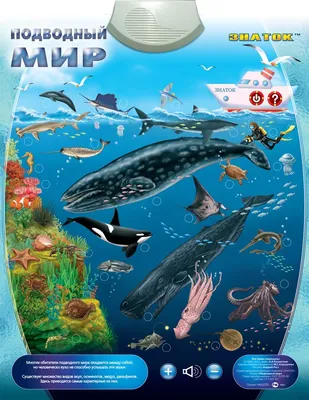 Удивительный подводный мир. | Лия Ташбулатова | Дзен