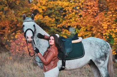 Лошади | Фотографии лошадей, Конюшни, Лошадиные породы
