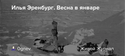 Пожелания хорошего дня мужу от жены - 70 фото