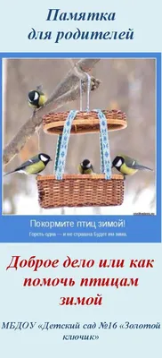 Краевая эко-акция \"Покормите птиц зимой\"