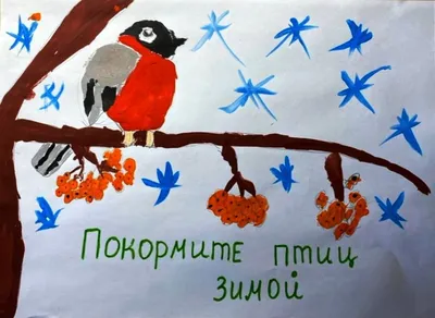 Акция \"Покормите птиц зимой!\" | МБДОУ \"Детский сад № 35\"