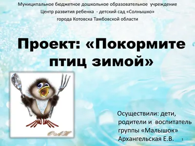 В Низовке прошла акция «Покормите птиц зимой!» — «Земля Самойловская»,  новости Самойловского района