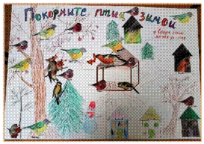 Покормите птиц зимой (11 фото). Воспитателям детских садов, школьным  учителям и педагогам - Маам.ру