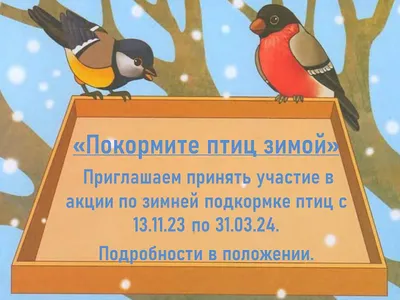 Экологическая акция \"Покормите птиц зимой\" (\"Птицы в городе\"), ГБОУ Школа №  1793, Москва