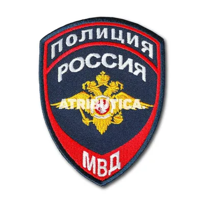 Глава МВД России Владимир Колокольцев наградил полицейских из Архангельской  области за спасение детей - 2 ноября 2021 - 29.ru