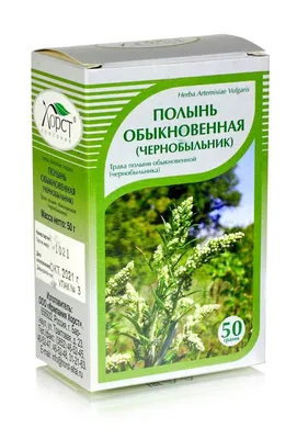 Полынь \"Artemisia\" купить по цене 450 рублей от питомника саженцев и  растений Центросад | Фото и консультация по уходу