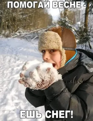 Человек, помогай весне - ешь снег! Желтый снег - не ешь!\" Смешные котики |  Которадуга | Дзен