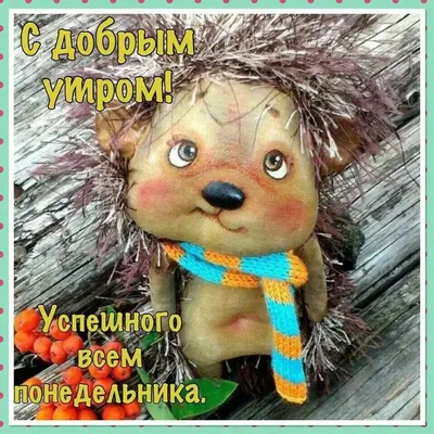 Доброе #Утро💥 #Сегодня #Понедельник #1️⃣5️⃣Ноября🤔 Желаю настроиться на  позитив, пусть удачной.. | ВКонтакте