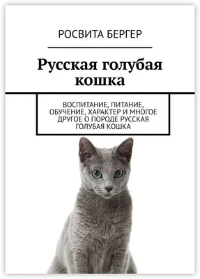 Русская голубая - «Порода беспроблемная, сообразительная, не вредная» |  отзывы