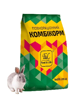 Топ-5 мясных пород кроликов 1korm