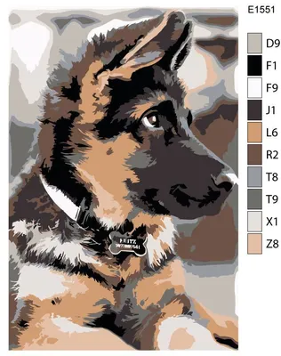 Детская картина по номерам E1551 \"Собака. Щенок немецкой овчарки\" 20x30 -  купить с доставкой по выгодным ценам в интернет-магазине OZON (880959168)
