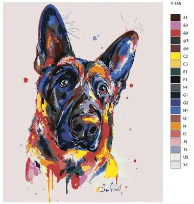Картина по номерам Y-155 \"Немецкая овчарка. Красочный немец. Собака\" 40х50  - купить с доставкой по выгодным ценам в интернет-магазине OZON (470231837)
