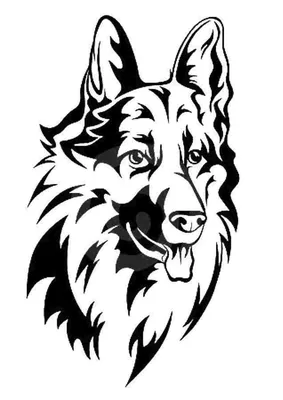 Раскраска Питбультерьер | Раскраски собак, рисунки собак, картинки собак