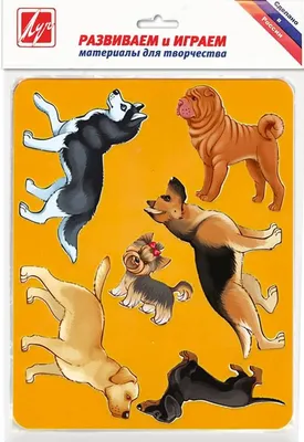 Умный малыш. Породы собак. Набор карточек для детей (М. Малунова) - купить  книгу с доставкой в интернет-магазине «Читай-город». ISBN: 978-5-81-126805-4