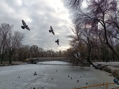 В последний день января Шумков торжественно откроет в Кургане новый парк