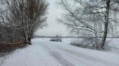 В Оренбуржье ожидается снег и ветер в последний день января | ОБЩЕСТВО |  АиФ Оренбург