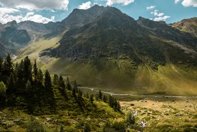 Картинка на последний день лета (скачать бесплатно)