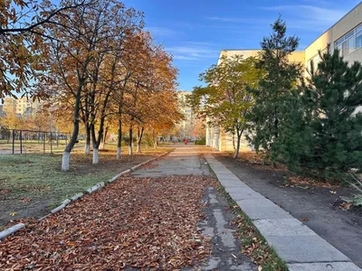 Антициклон оградит Петербург от дождей в последний день октября